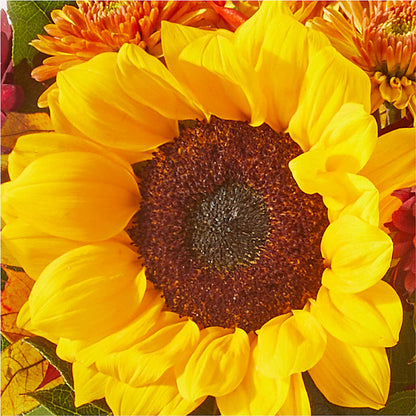 Sunny Side Bouquet –  Sweet As Can Bee Florals, Baltimore MD