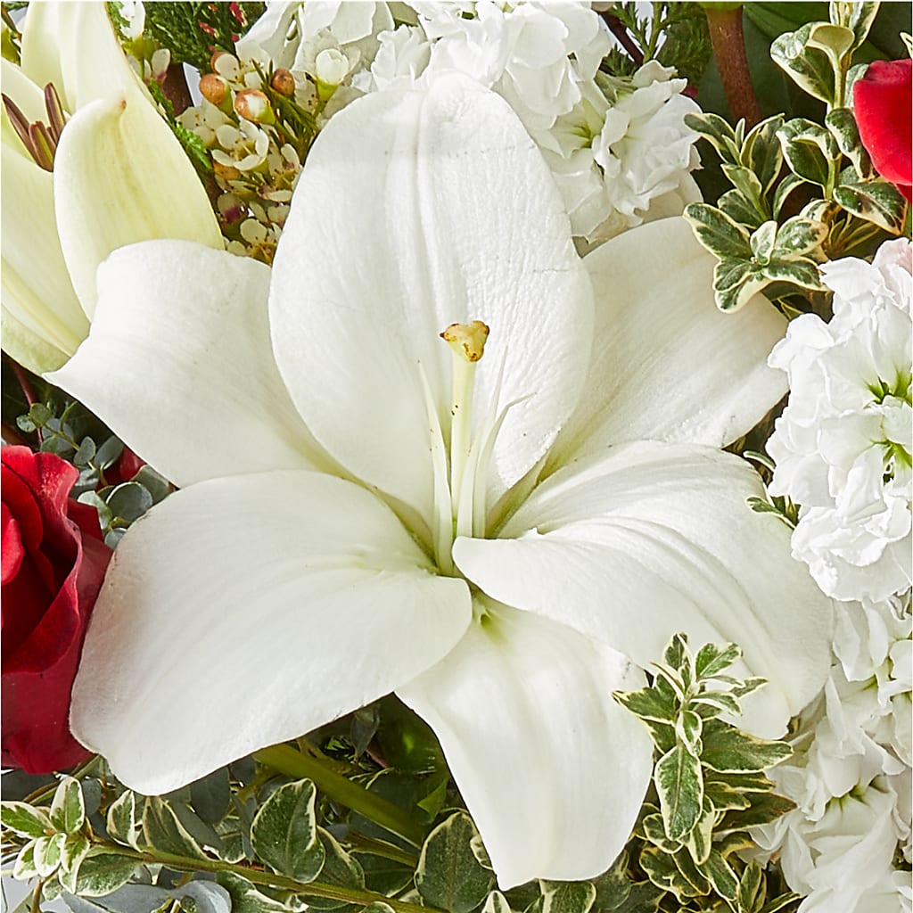 Twinkle Lights Bouquet –  Sweet As Can Bee Florals, Baltimore MD