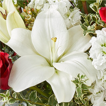 Twinkle Lights Bouquet –  Sweet As Can Bee Florals, Baltimore MD