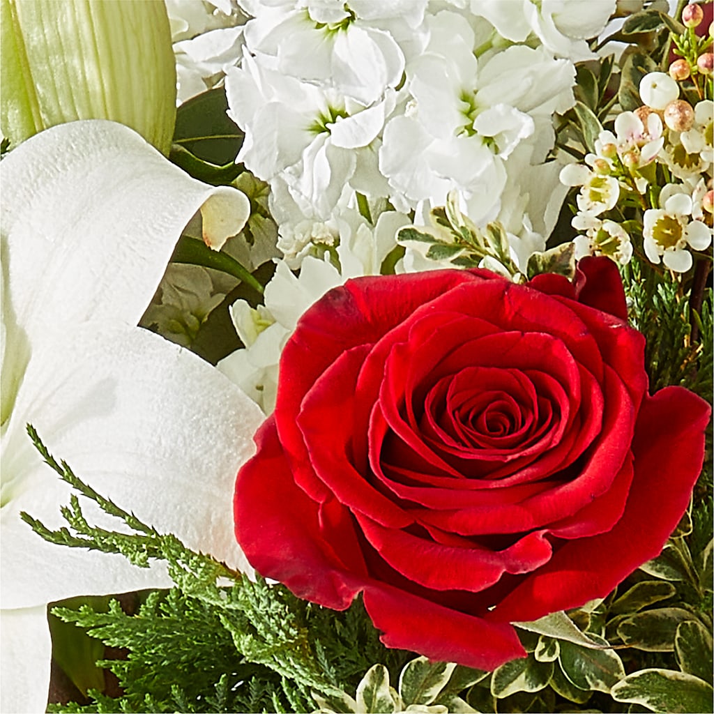 Twinkle Lights Bouquet –  Sweet As Can Bee Florals, Baltimore MD
