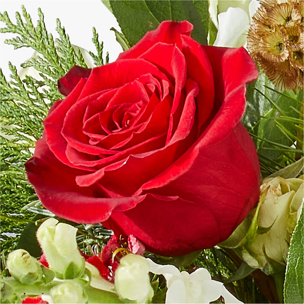 Deck the Halls Bouquet –  Sweet As Can Bee Florals, Baltimore MD