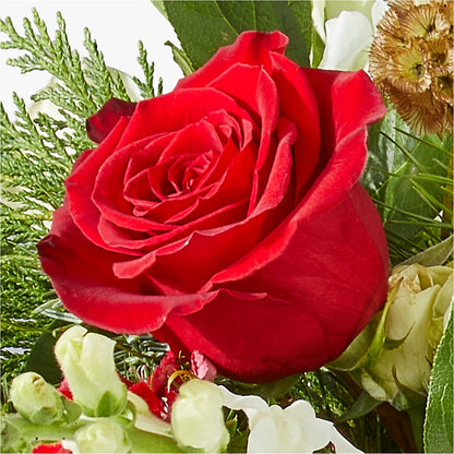 Deck the Halls Bouquet –  Sweet As Can Bee Florals, Baltimore MD