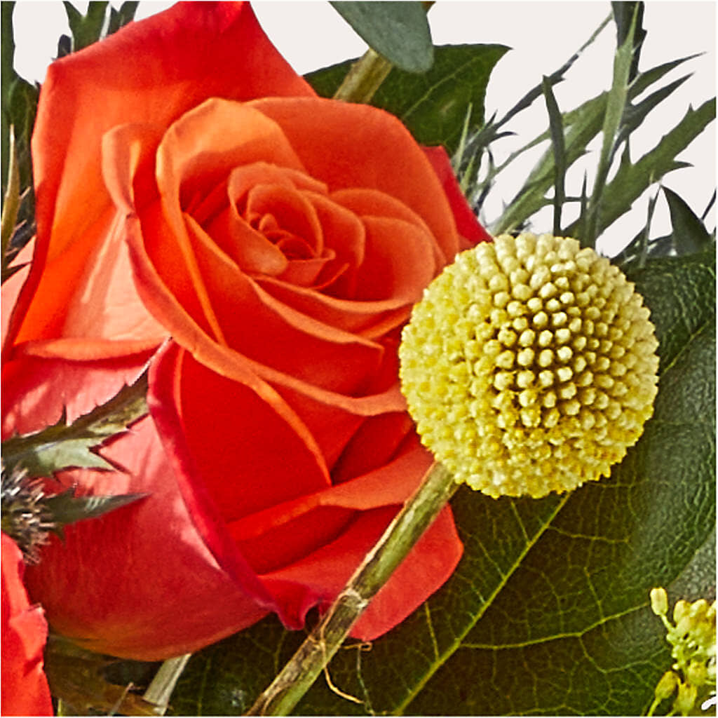 Disco Bouquet –  Sweet As Can Bee Florals, Baltimore MD