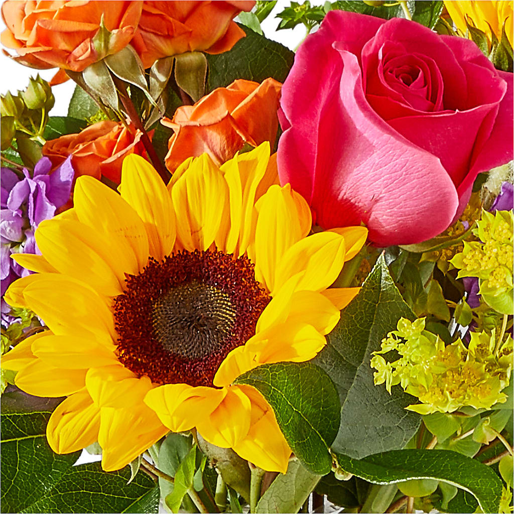 Vibrant Greetings Bouquet –  Sweet As Can Bee Florals, Baltimore MD