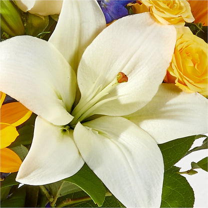 Wonderfully Sunny Bouquet –  Sweet As Can Bee Florals, Baltimore MD