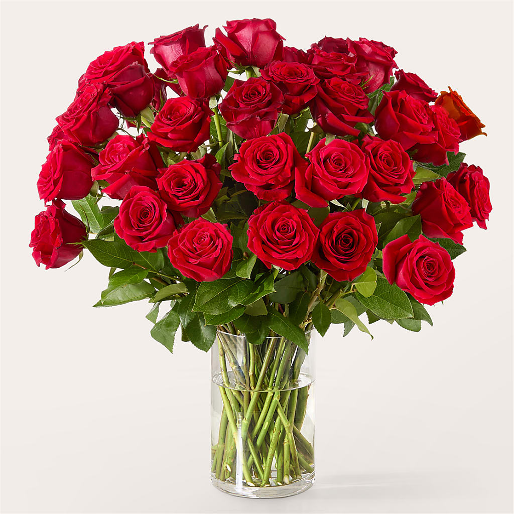 The One Red Rose Bouquet –  Sweet As Can Bee Florals, Baltimore MD