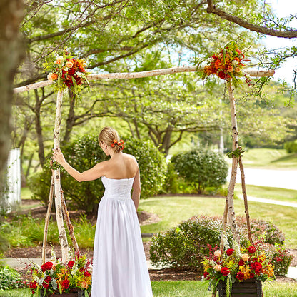 Arbor of Love Archway –  Sweet As Can Bee Florals, Baltimore MD