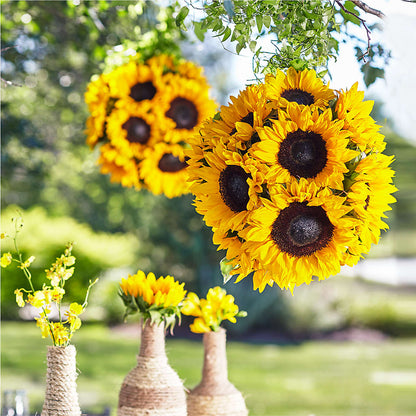 Sublime Garden Hanging Arrangement –  Sweet As Can Bee Florals, Baltimore MD