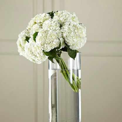 White Hydrangea Hand-Tied Bouquet –  Sweet As Can Bee Florals, Baltimore MD
