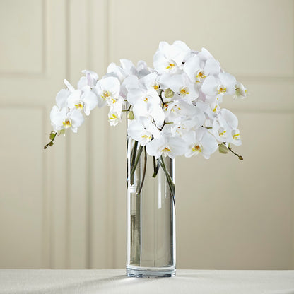 White Phalaenopsis Bouquet –  Sweet As Can Bee Florals, Baltimore MD