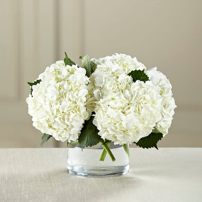 White Hydrangea Bouquet –  Sweet As Can Bee Florals, Baltimore MD